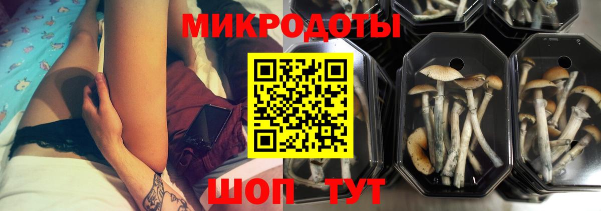 Псилоцибиновые грибы прущие грибы Урюпинск